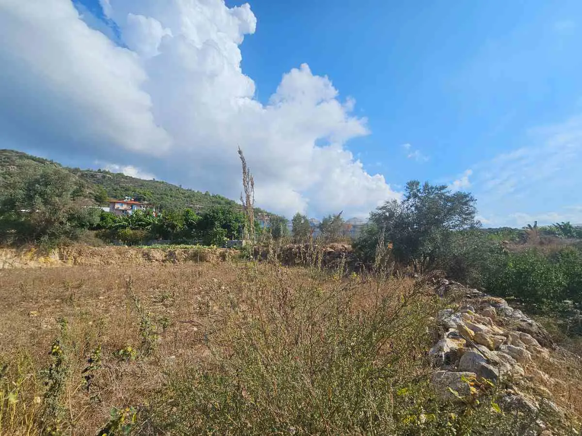 Property image 24