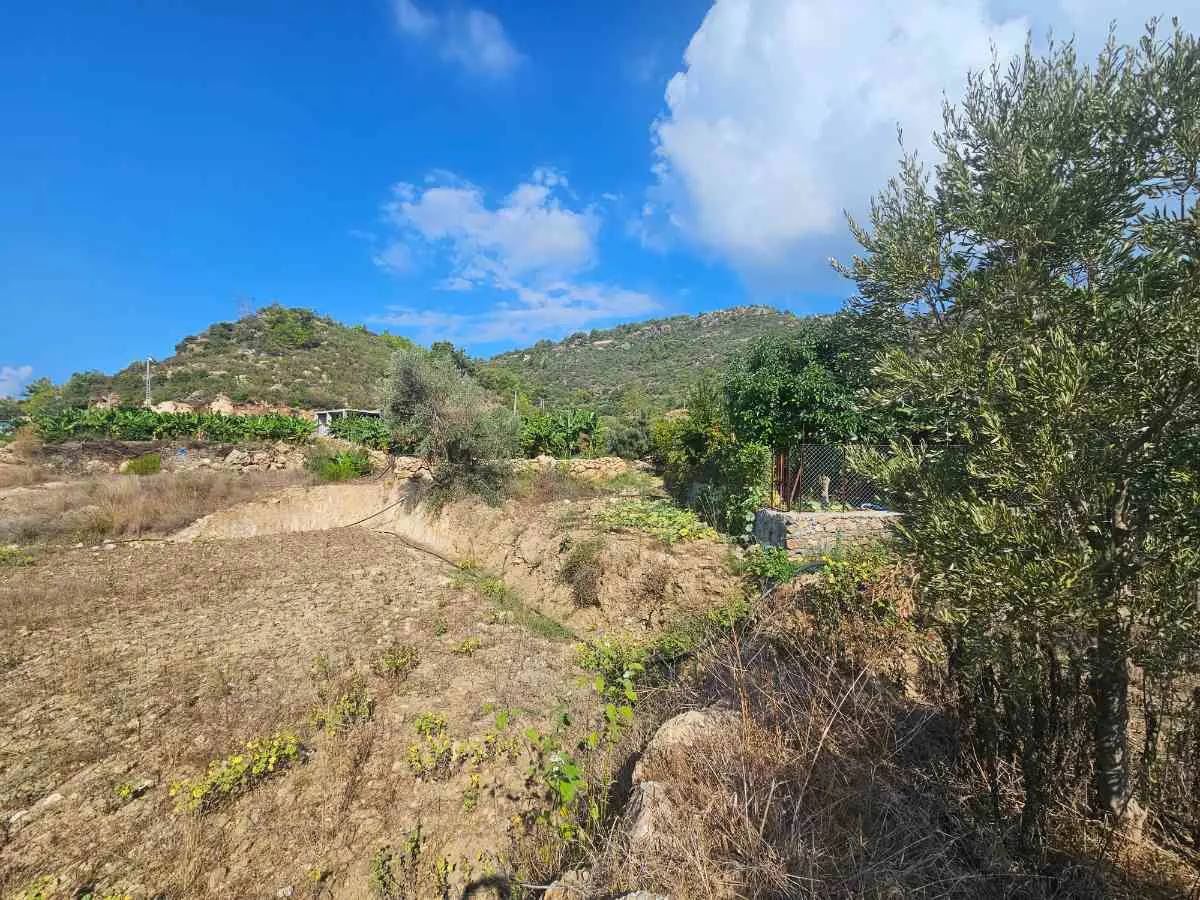 Property image 18