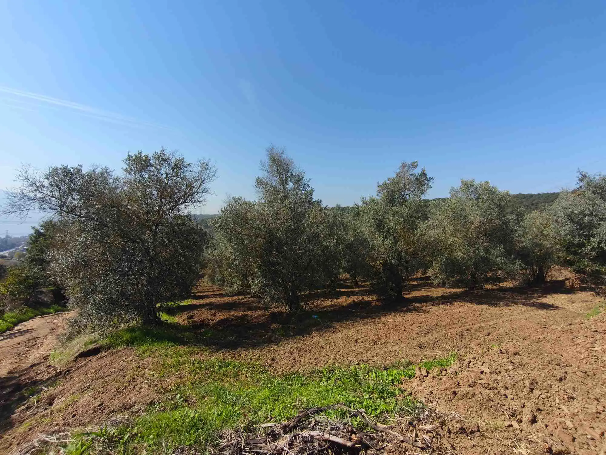 Property image 18