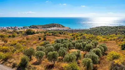 ÇANAKKALE LAPSEKİ ŞEFKETİYE DENİZ MANZARALI SATILIK TARLA