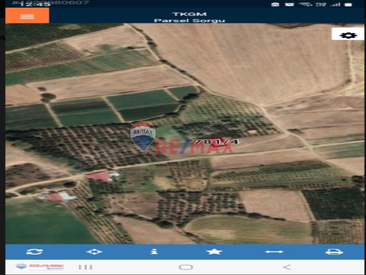 ÇANAKKALE LAPSEKİ ÇARDAK BELDESİNDE SATILIK ARSA