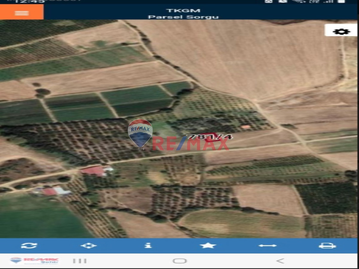 ÇANAKKALE LAPSEKİ ÇARDAK BELDESİNDE SATILIK ARSA