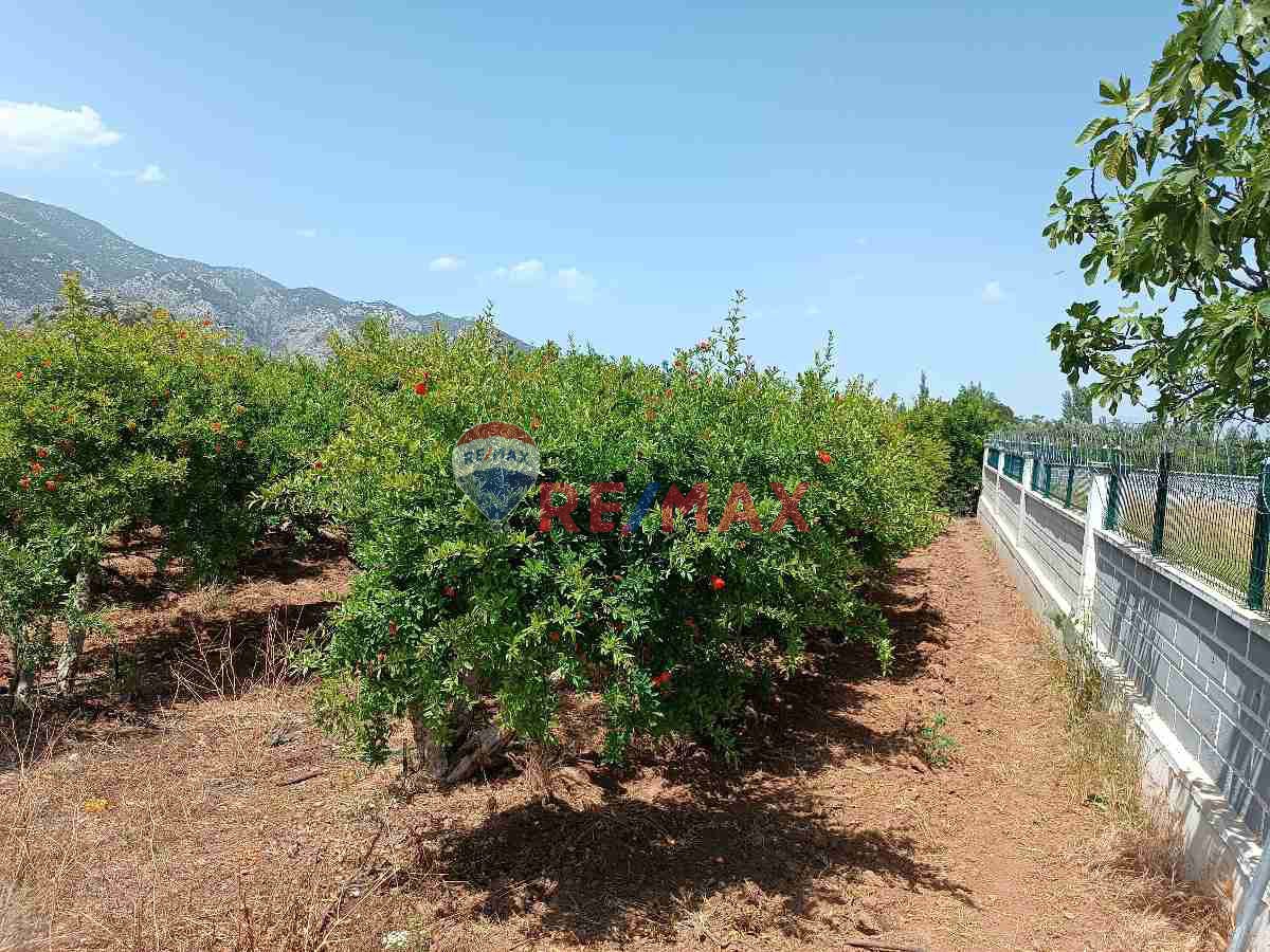 DÖŞEMEALTI ÇIĞLIK' TA SATILIK VİLLA ARSASI