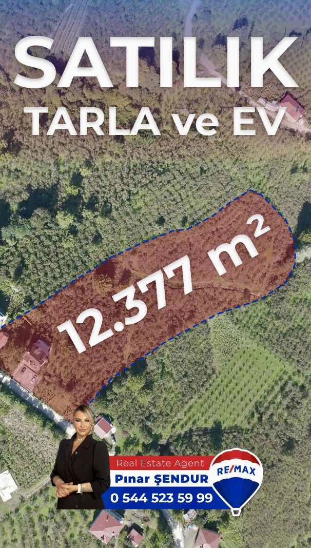 🌿 SAMSUN / ÇARŞAMBA / KABA CEVİZ FINDIK TARLASI BE MÜSTAKİL EV