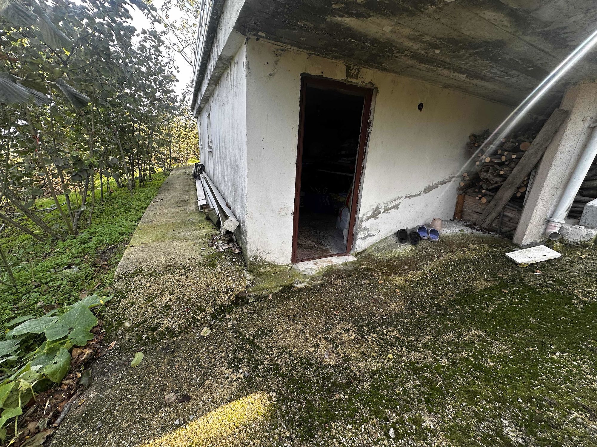 🌿 SAMSUN / ÇARŞAMBA / KABA CEVİZ FINDIK TARLASI BE MÜSTAKİL EV