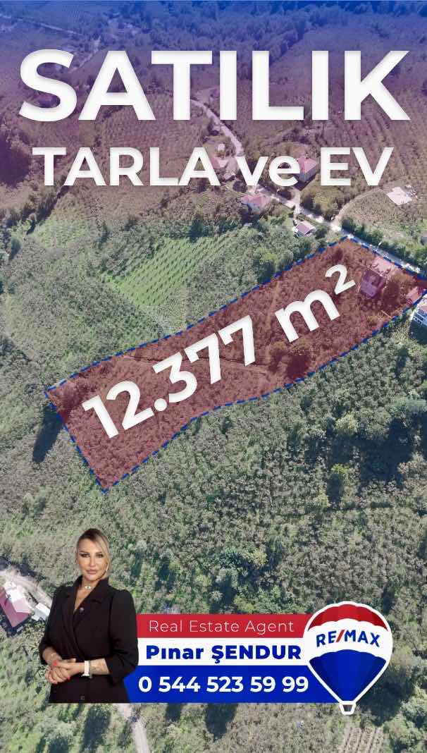 🌿 SAMSUN / ÇARŞAMBA / KABA CEVİZ FINDIK TARLASI BE MÜSTAKİL EV