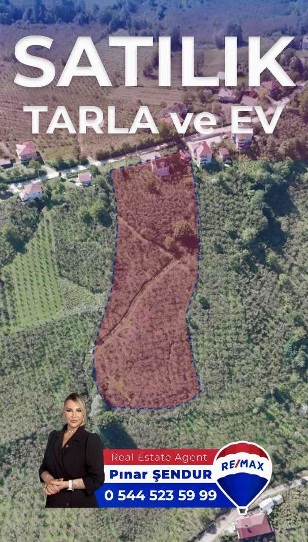 🌿 SAMSUN / ÇARŞAMBA / KABA CEVİZ FINDIK TARLASI BE MÜSTAKİL EV