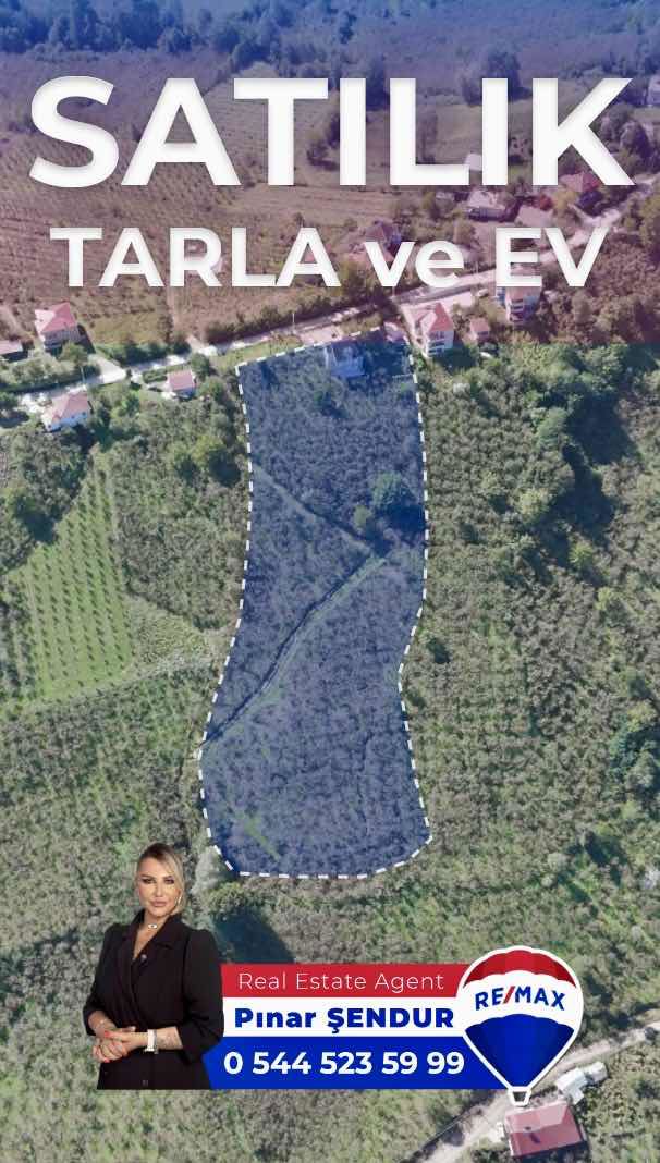 🌿 SAMSUN / ÇARŞAMBA / KABA CEVİZ FINDIK TARLASI BE MÜSTAKİL EV