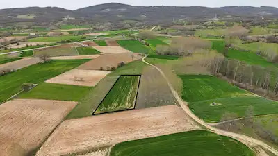 KIRKLARELİ ARMAĞAN KÖYÜNDE SATILIK 2.223 M2 ARAZİ