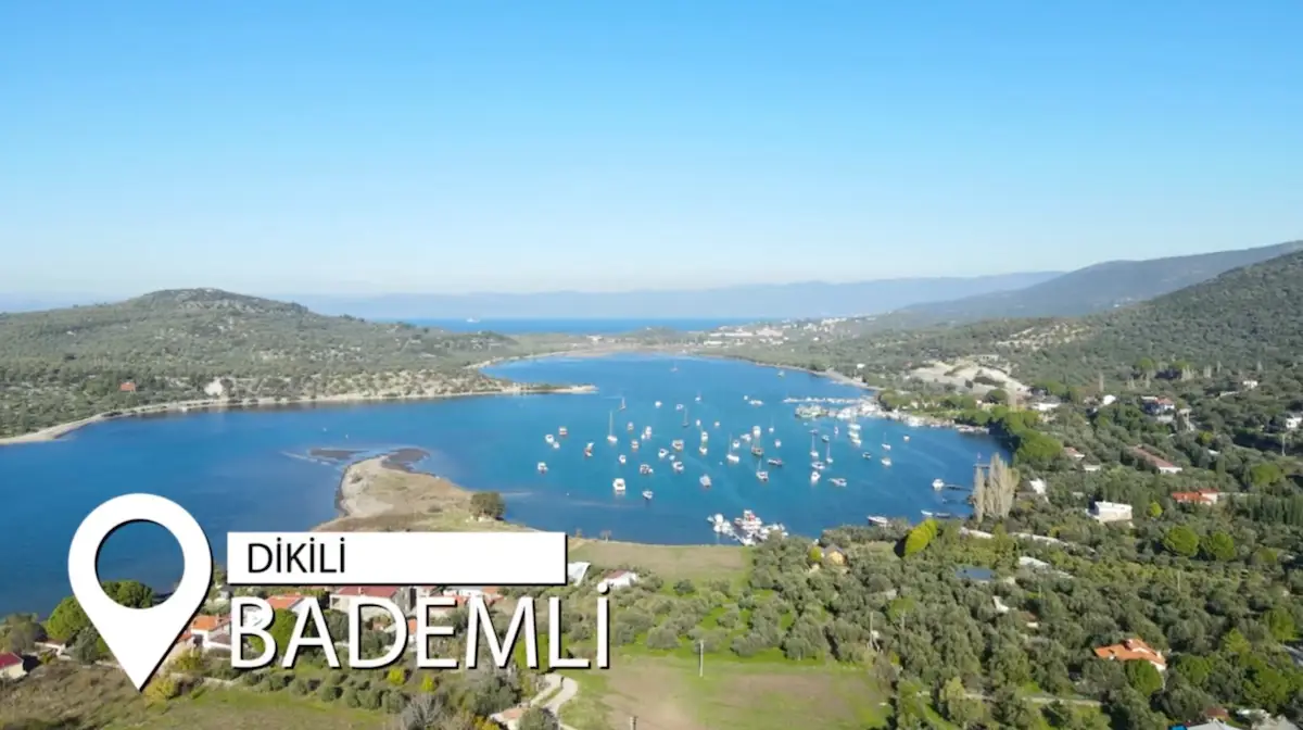 DİKİLİ MERDİVENLİ’DE MÜSTAKİL PARSEL ZEYTİNLİK | ADA 109 PARSEL 4