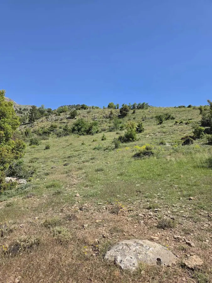 SEYDİKEMER KINCILAR'DA 5.872M2 KADASTROL YOLA 14.6M CEPHELİ SATILIK TARLA