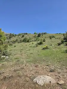 SEYDİKEMER KINCILAR'DA 5.872M2 KADASTROL YOLA 14.6M CEPHELİ SATILIK TARLA