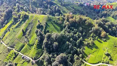 OF KİREÇLİ KÖYÜN DE 932 M2 MANZARALI ARSA (SATILIK)