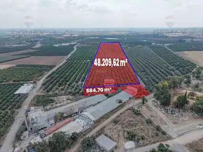 REMAX AVLU'DAN TARSUS ÇAMTEPE'DE 48.209 M² SATILIK TARLA 