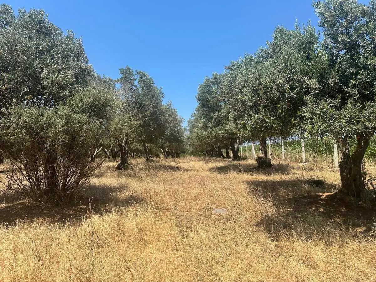 Property image 24
