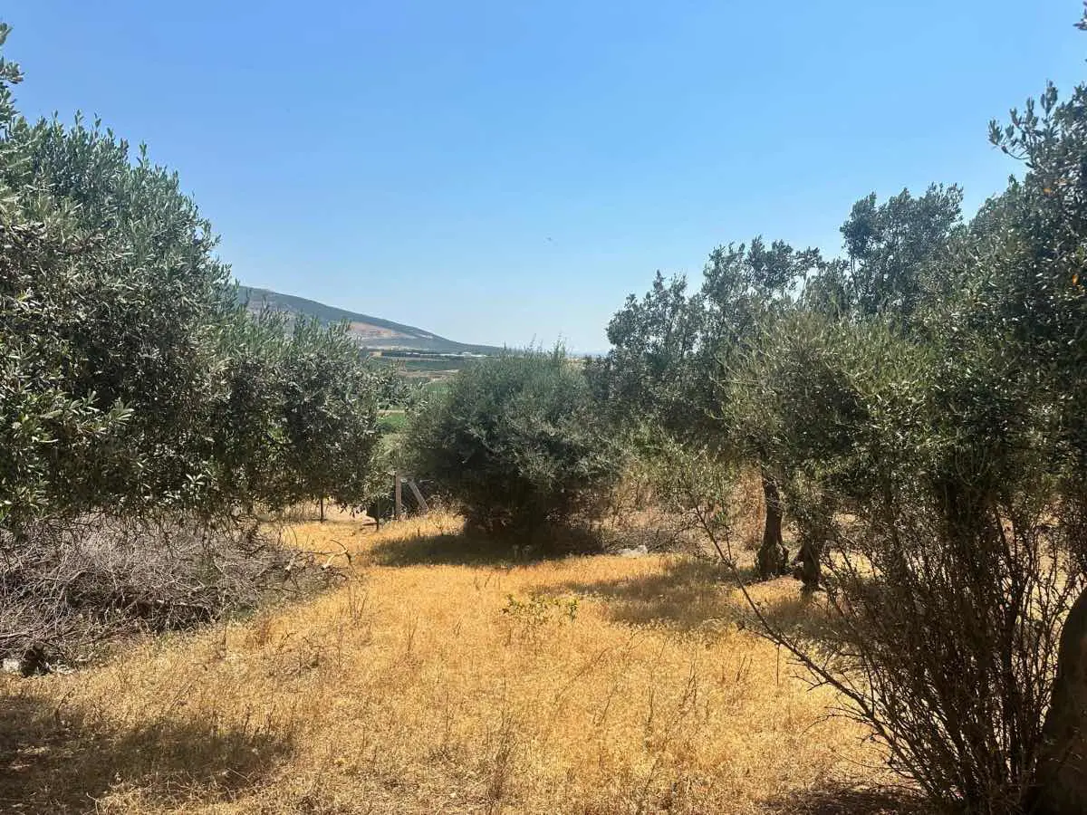 Property image 21