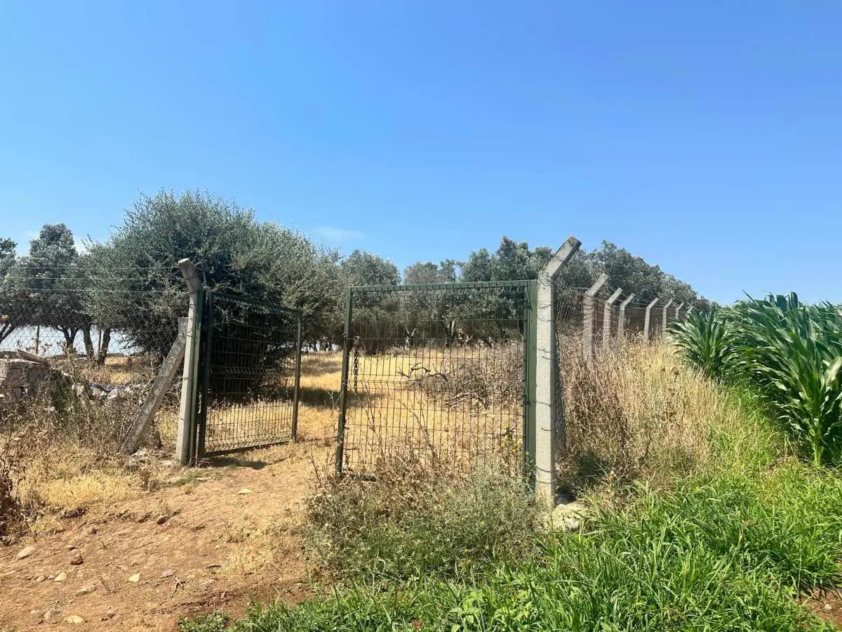 Property image 23
