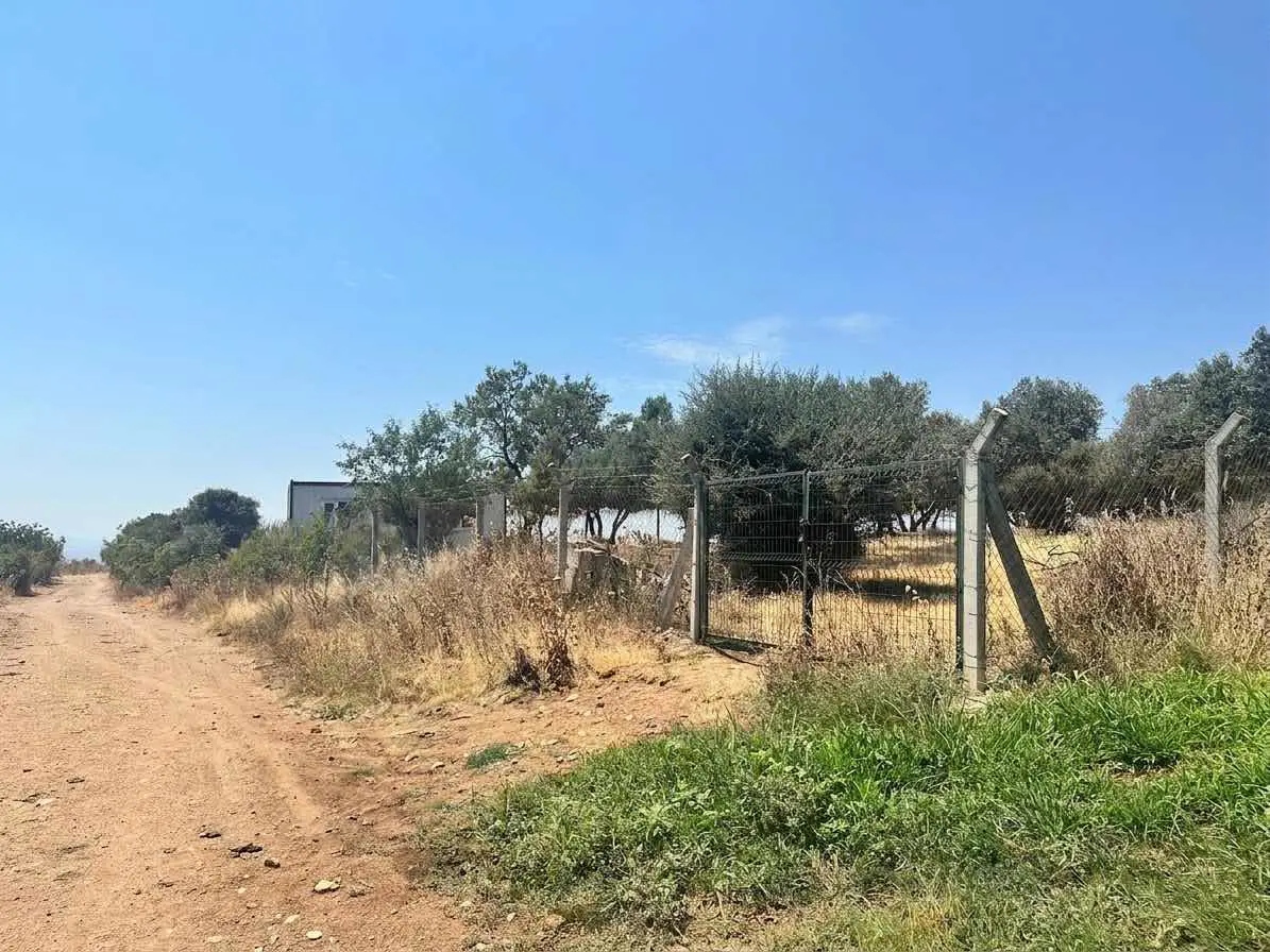 REMAX AREA KARASU DA SATILIK ÇITLI 2200 M2 TARLA VE KONTEYNER