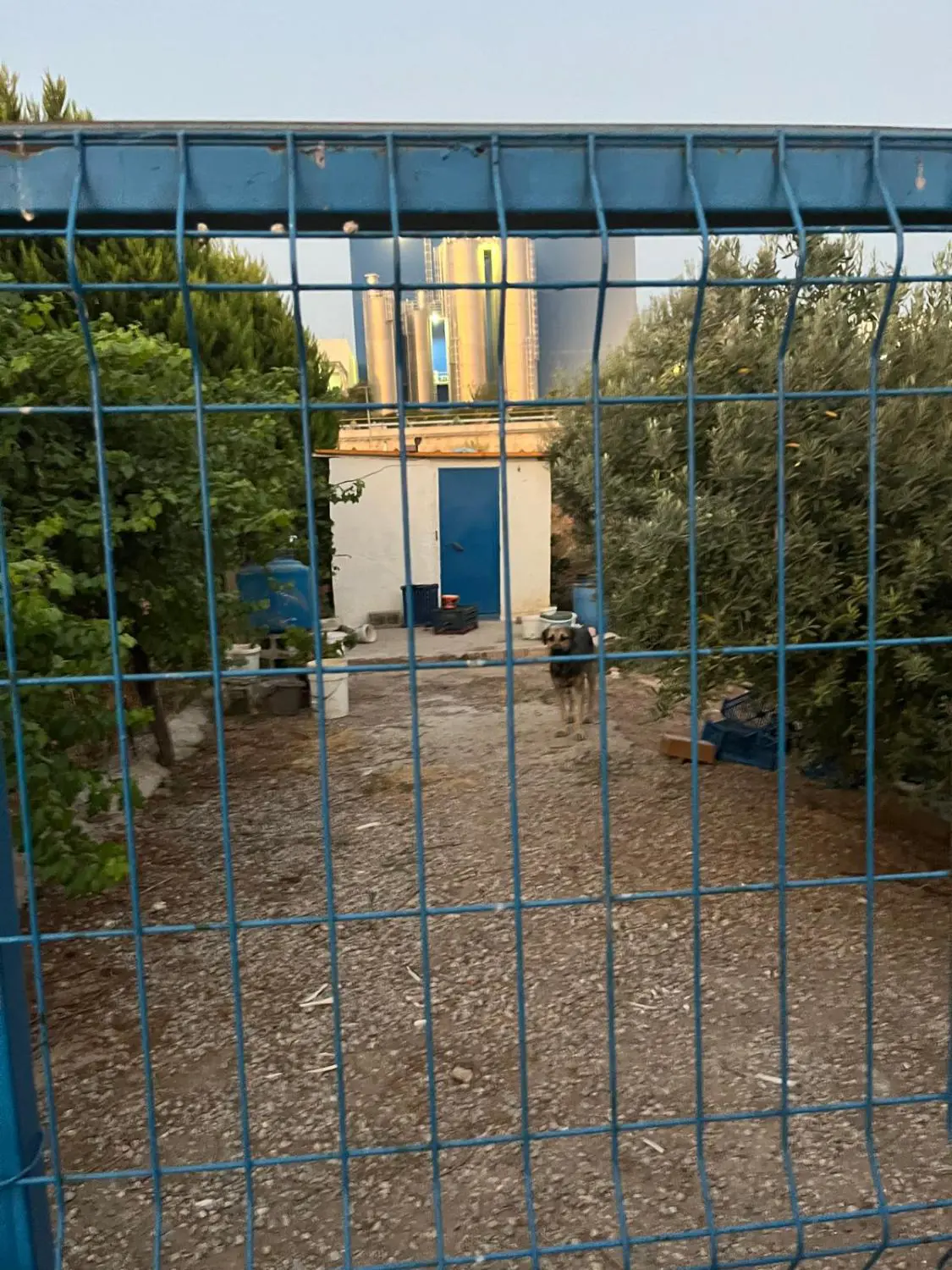 Property image 10