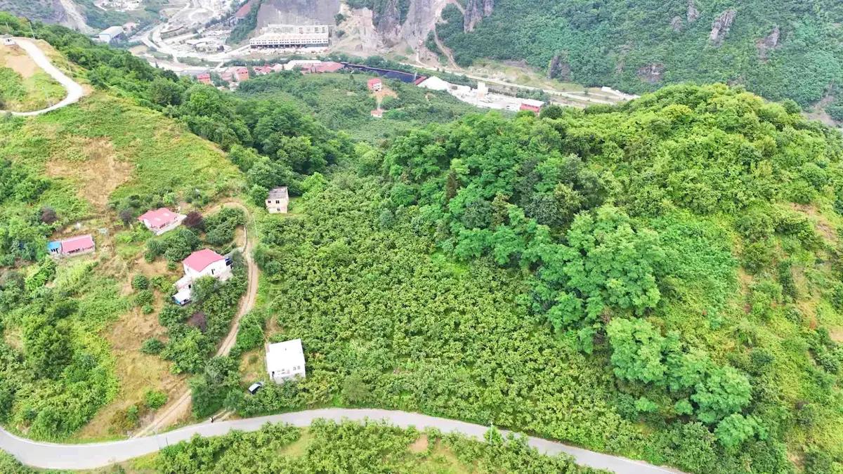 KUTLUGÜN'DE YENİ BULVAR YOLU YAKININDA İMARA YAKIN PARSEL