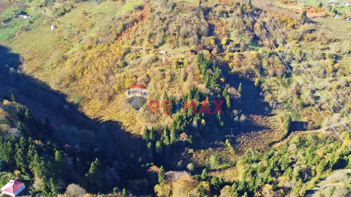 YEŞİLYURT MAHALLESİNDE9900 M2 ARAZİMİZ SATILIKTIR