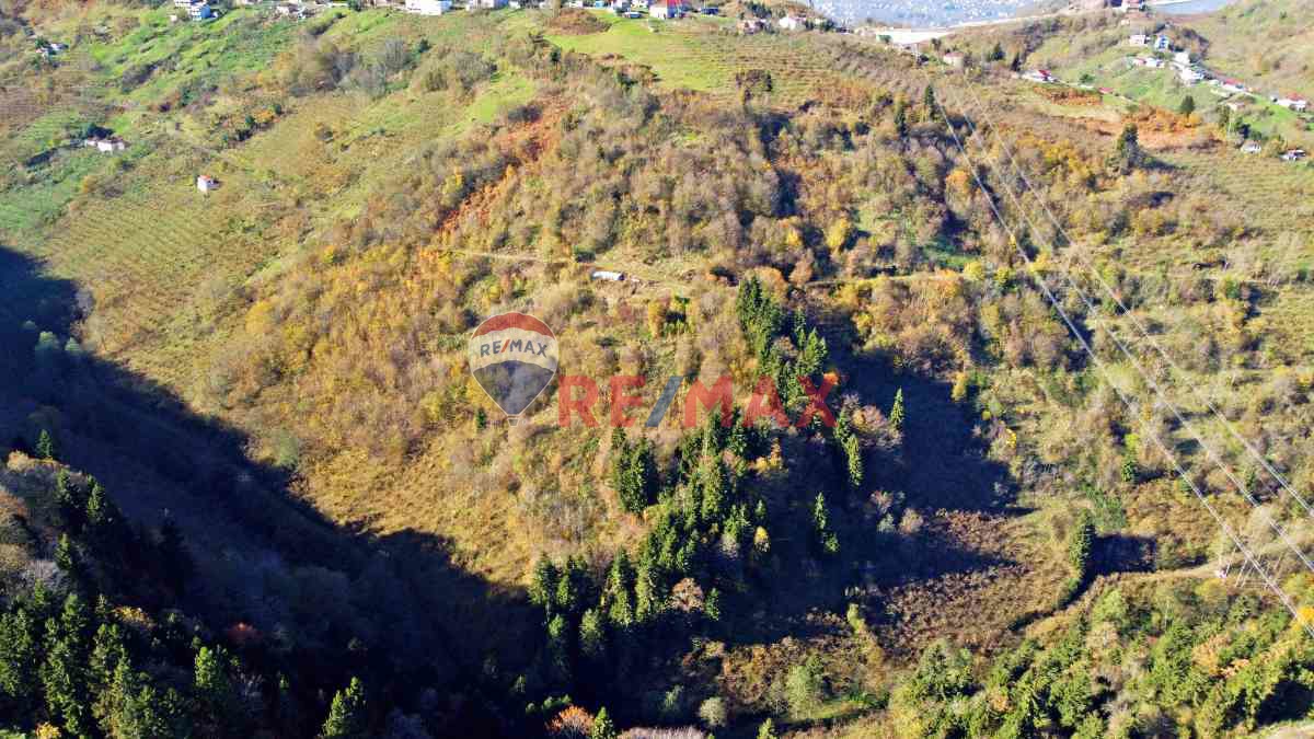 YEŞİLYURT MAHALLESİNDE9900 M2 ARAZİMİZ SATILIKTIR