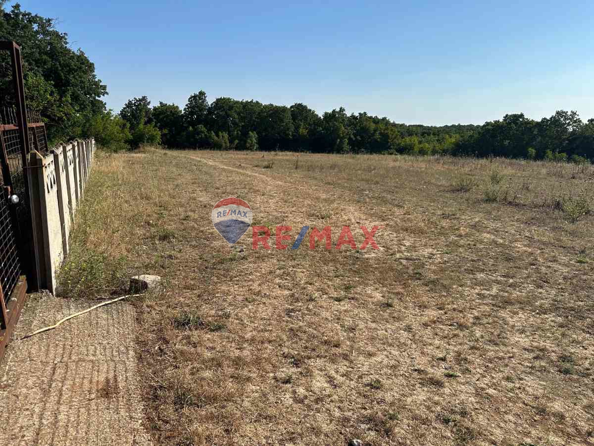 REMAX LAVANDA’DAN TEKİRDAĞ-SARAY-AYVACIK SATILIK TARLA