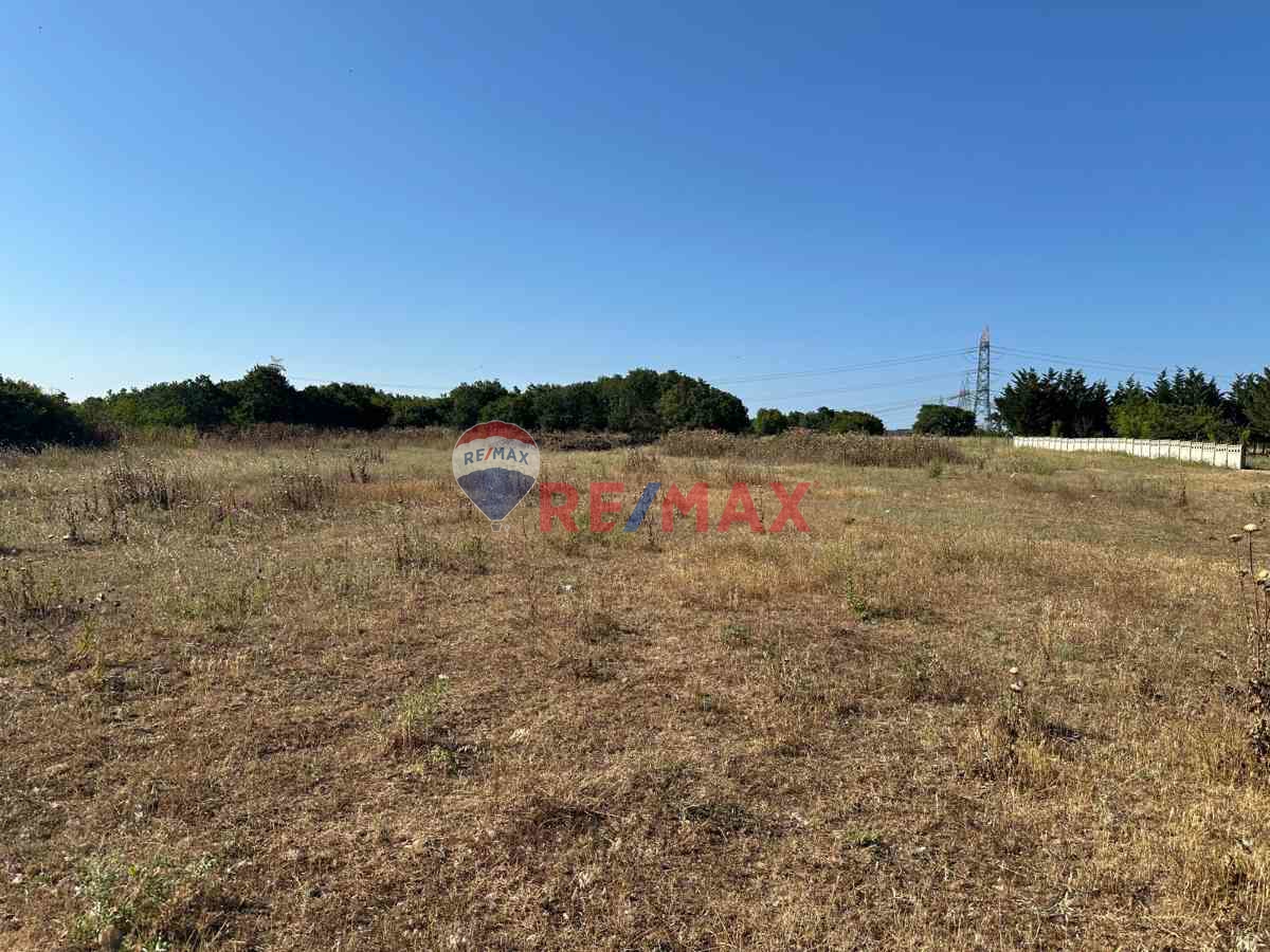 REMAX LAVANDA’DAN TEKİRDAĞ-SARAY-AYVACIK SATILIK TARLA