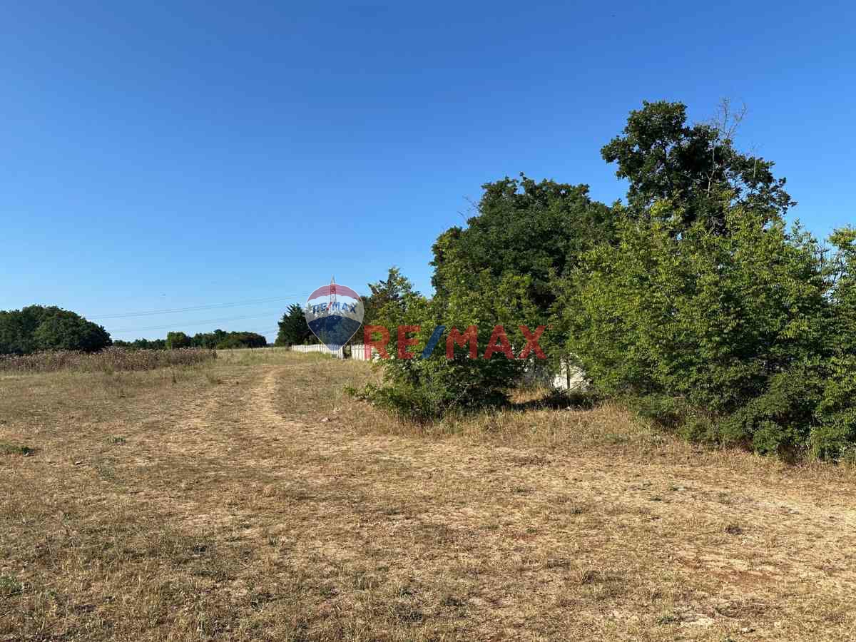 REMAX LAVANDA’DAN TEKİRDAĞ-SARAY-AYVACIK SATILIK TARLA