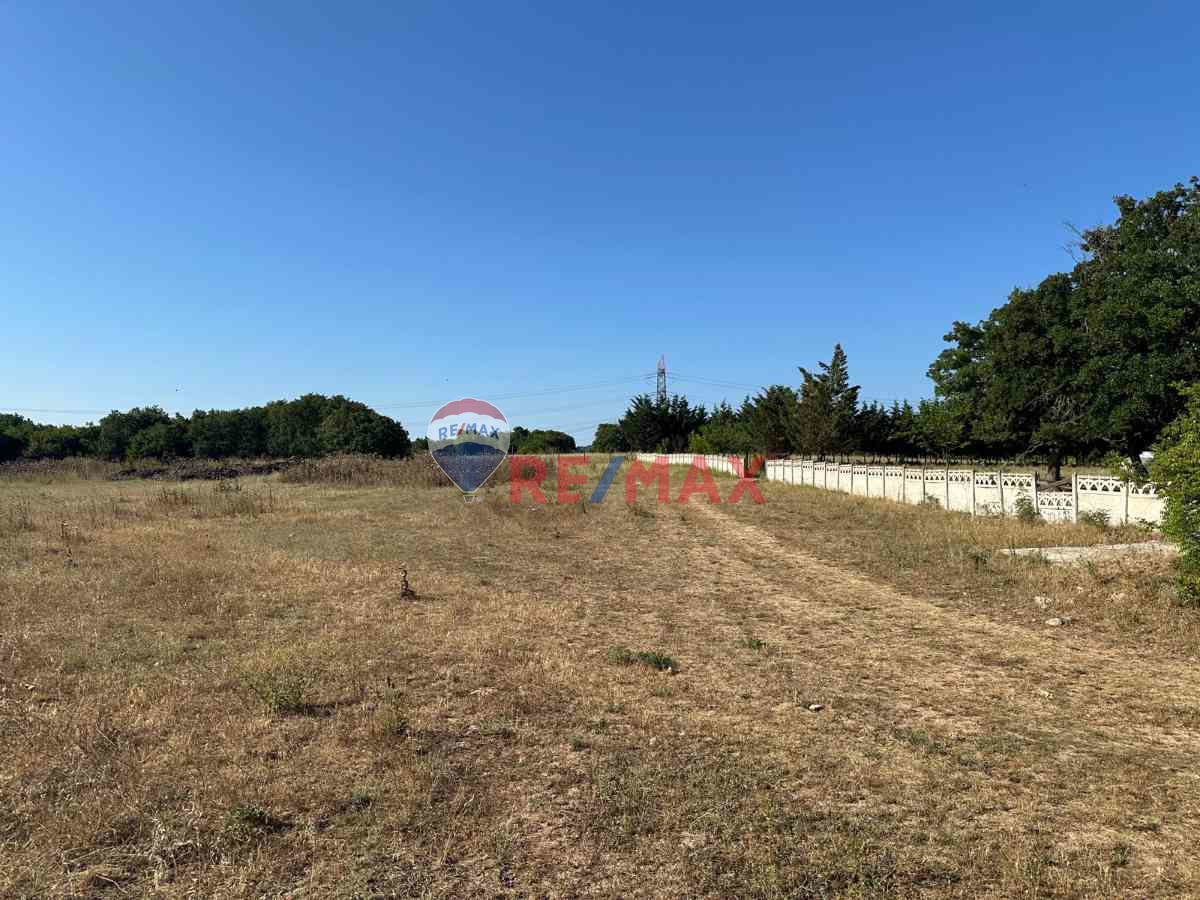 REMAX LAVANDA’DAN TEKİRDAĞ-SARAY-AYVACIK SATILIK TARLA