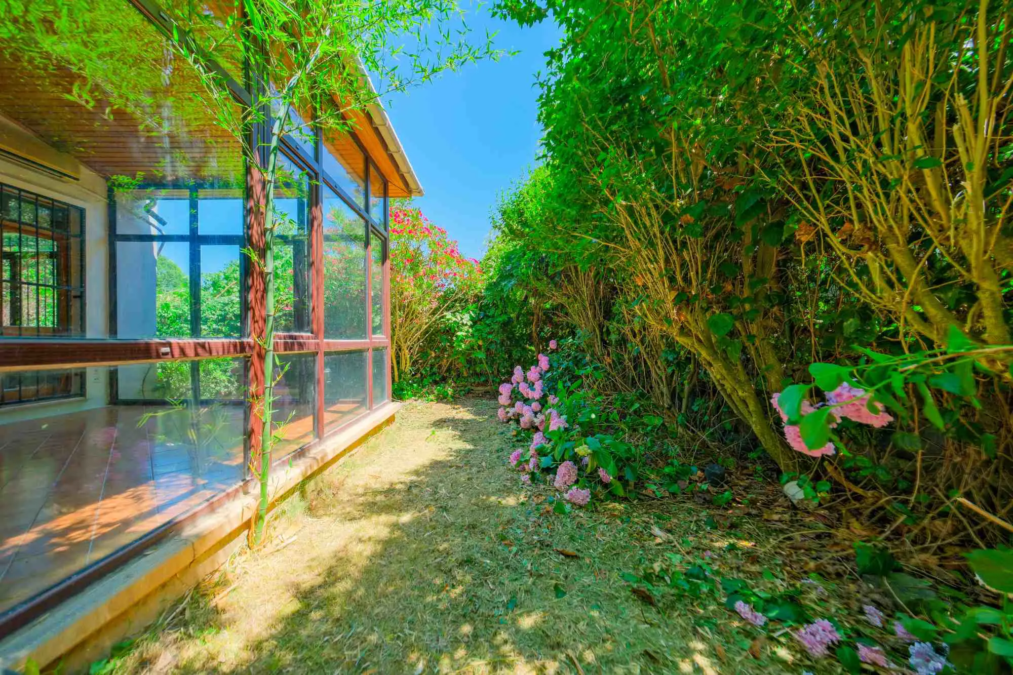 Property image 65