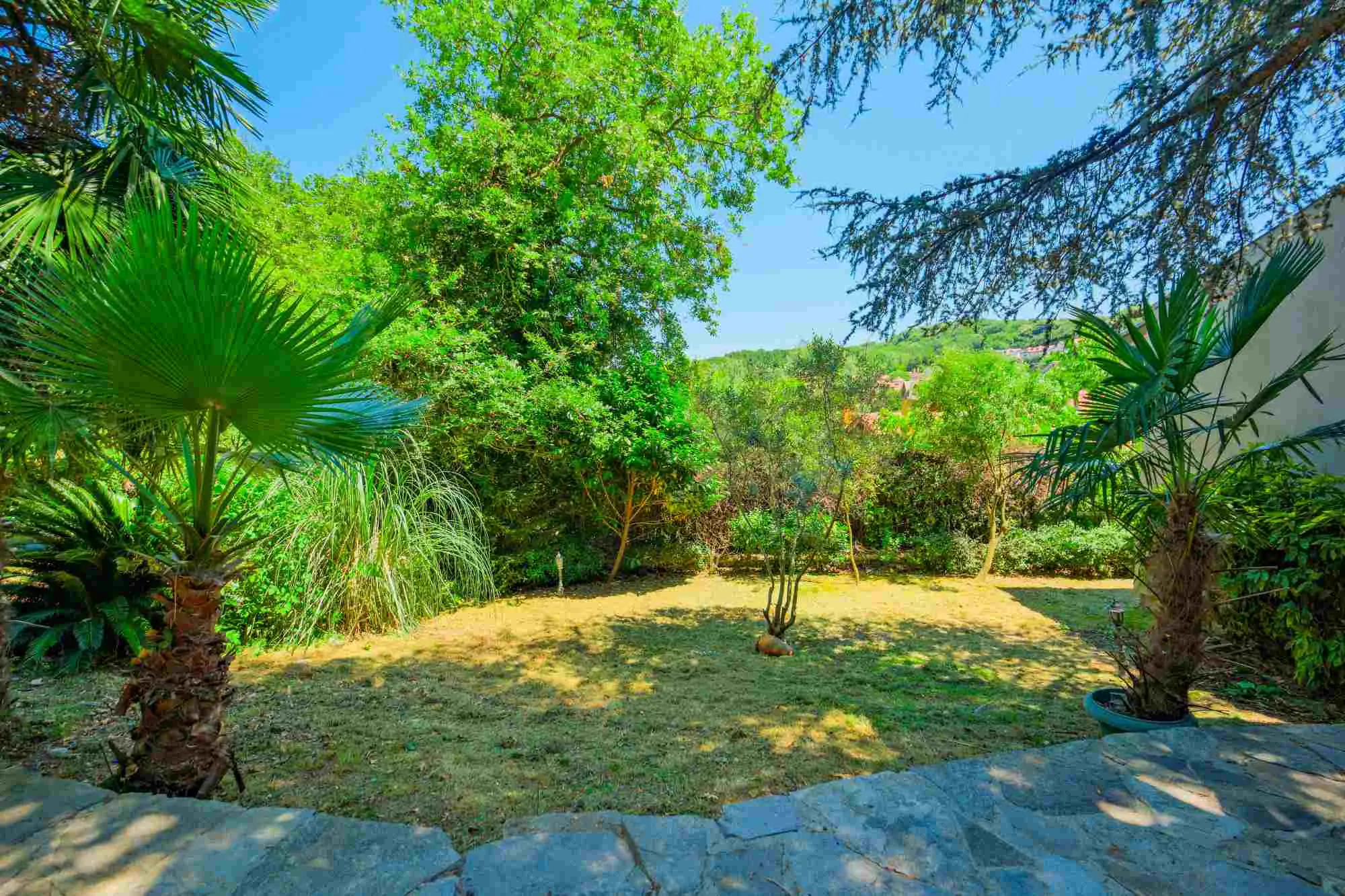 Property image 51