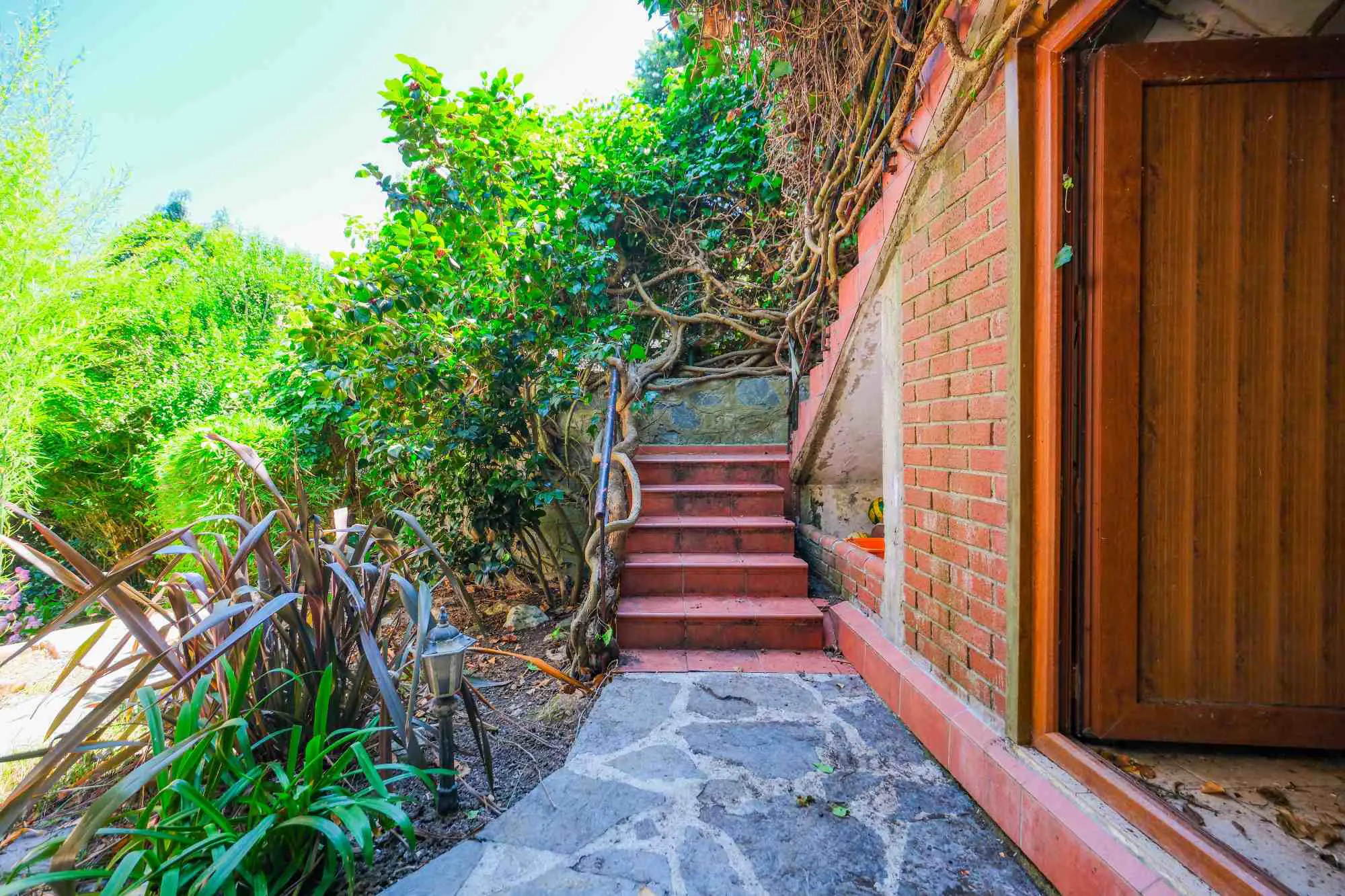 Property image 62