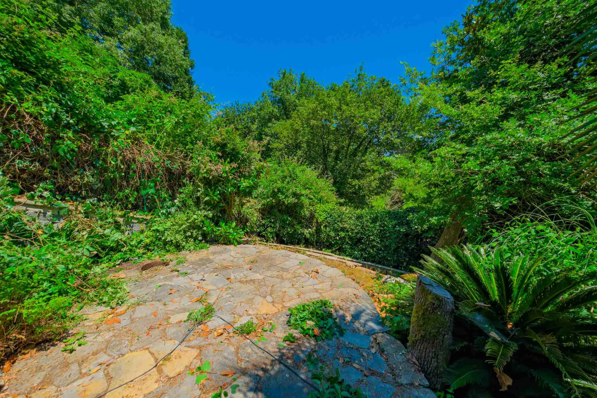 Property image 58