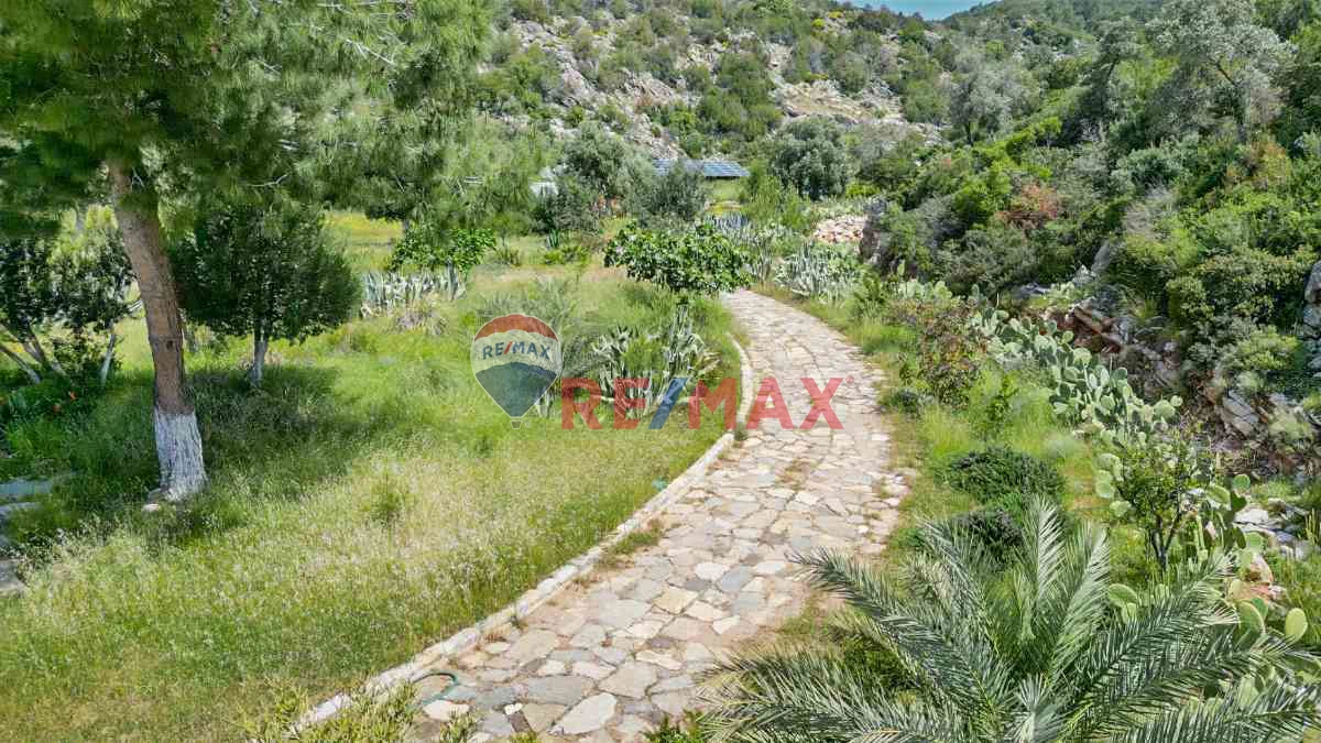 Property image 27