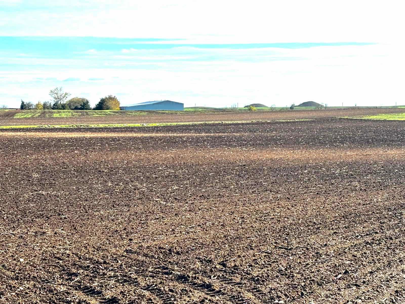 KIRKLARELİ LÜLEBURGAZ AKÇAKÖYDE ÇİFTLİK YAPIMINA UYGUN ARAZİ