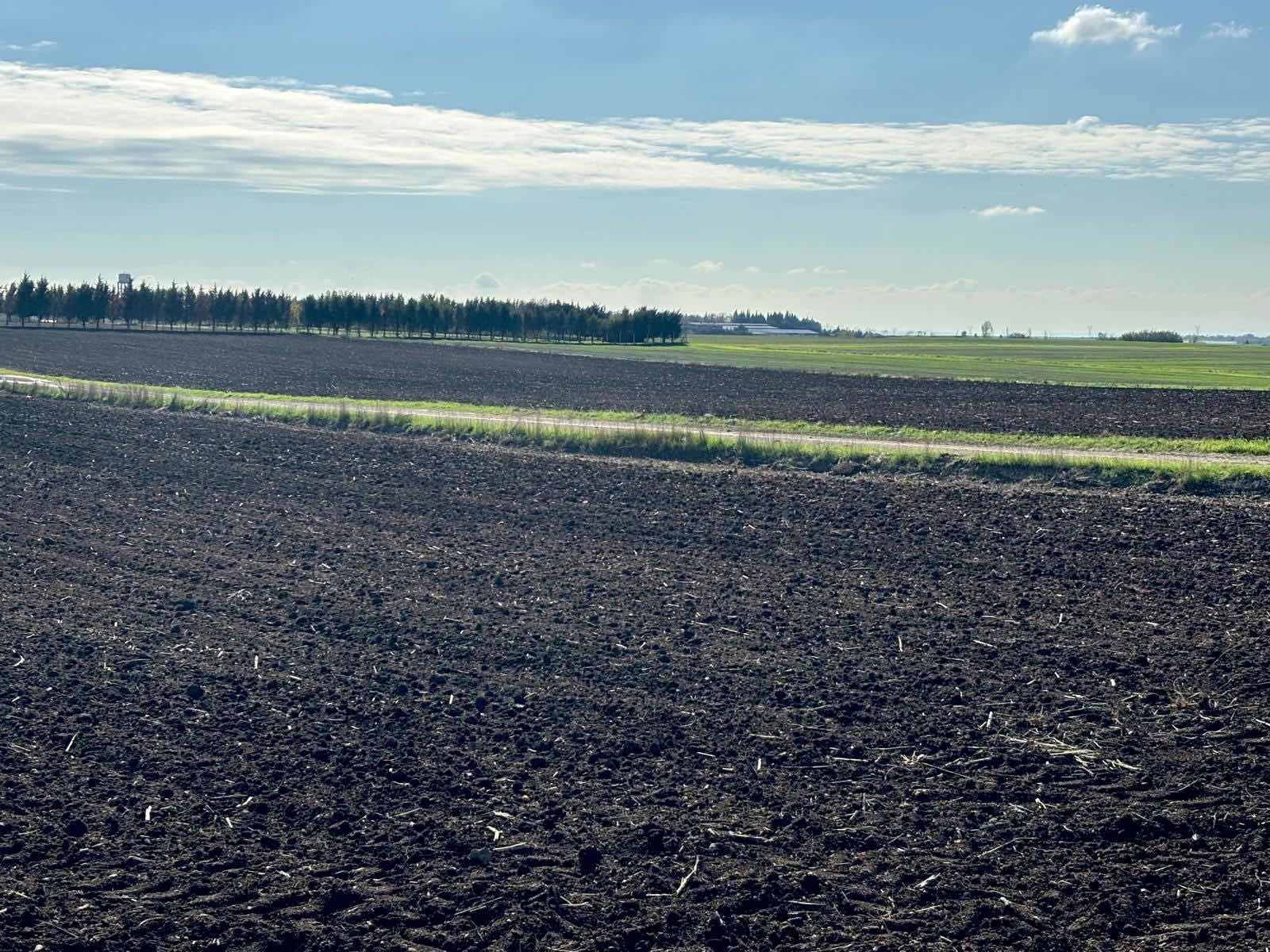 KIRKLARELİ LÜLEBURGAZ AKÇAKÖYDE ÇİFTLİK YAPIMINA UYGUN ARAZİ