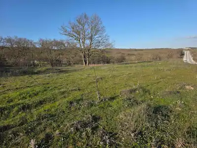 KIRKLARELİ MERKEZ KORUKÖY’DE ANA YOL ÜZERİ SATILIK TARLA