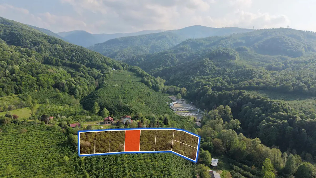 REMAX MAVI CENGIZ ÖZDEMİR'DEN BIÇKIDERE'DE 994 M² KÖYİÇİ ARSA