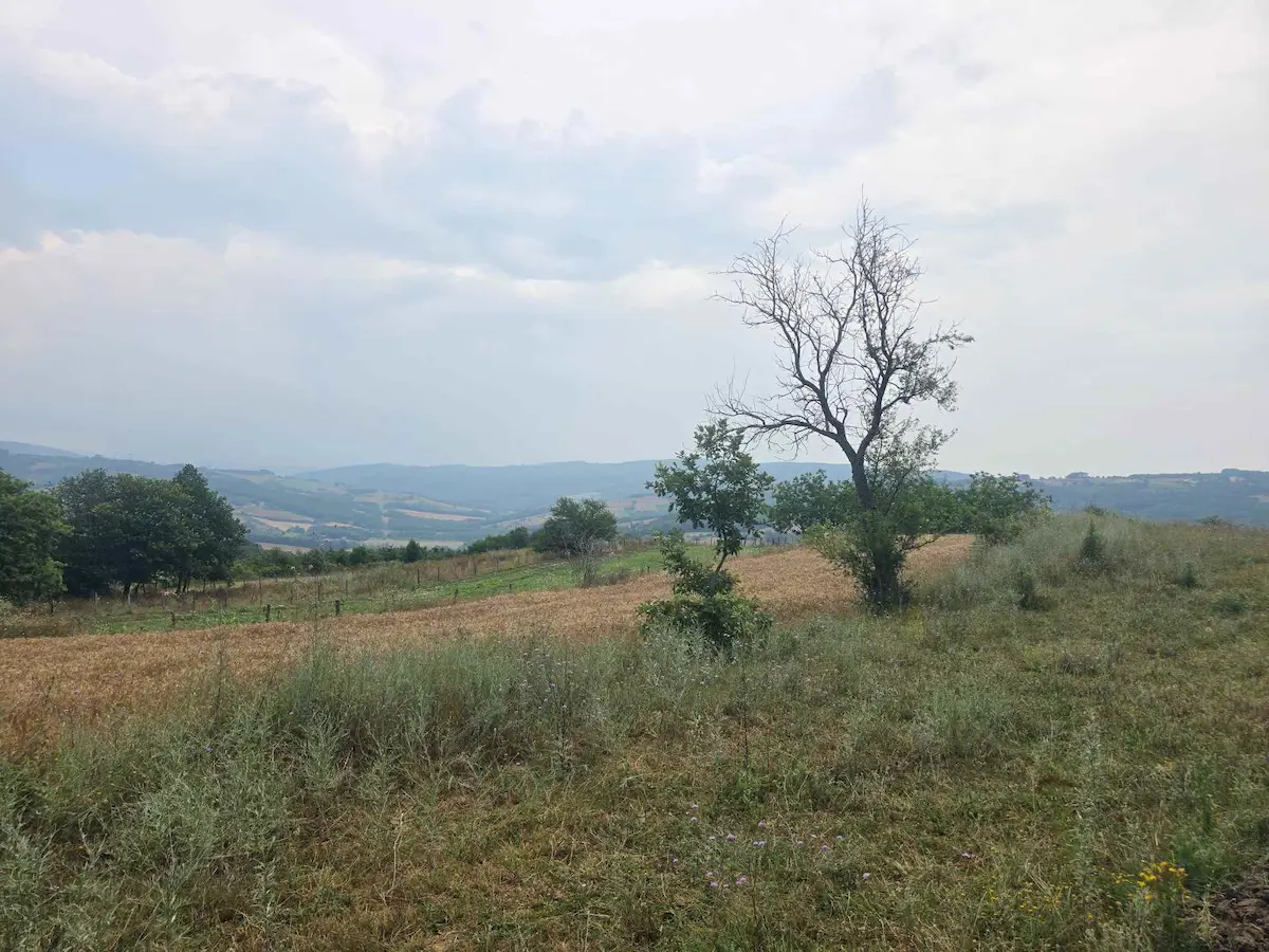 İZMİT BALÖREN MAH. SATILIK 2762 M² TARLA