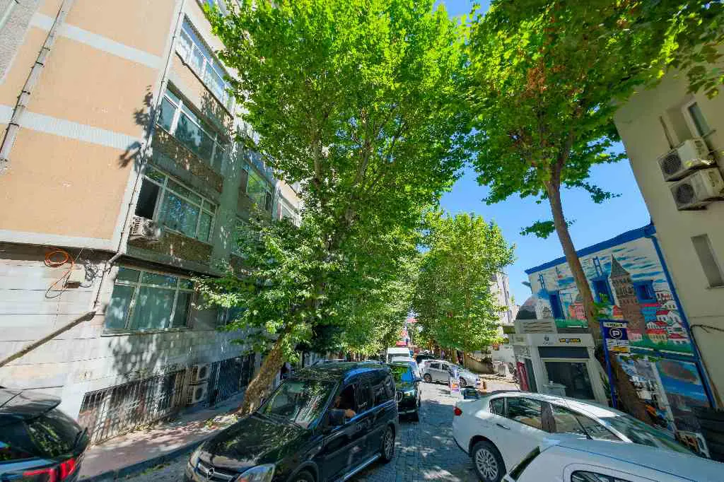 Property image 38