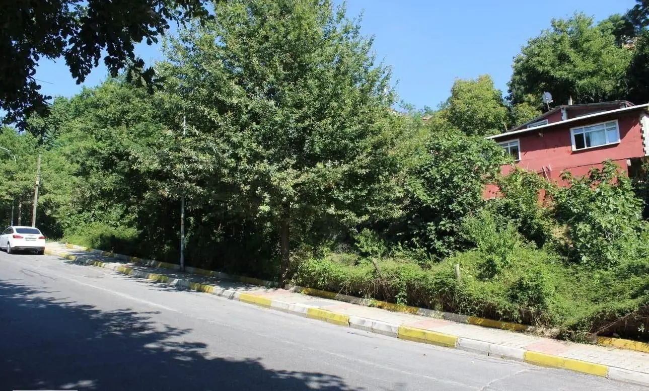 Property image 26