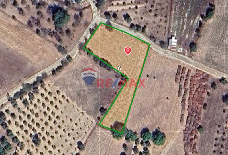 URLA ZEYTİNLER'DE  2847 M2 YOLA CEPHELİ  SATILIK TARLA