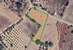URLA ZEYTİNLER'DE  2847 M2 YOLA CEPHELİ  SATILIK TARLA