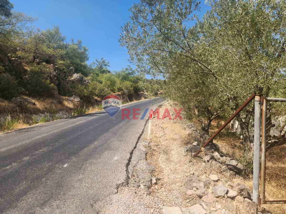 MANISA YUNUSEMRE ÇAMLICA ZEYTINLIK MUSTAKIL PARSEL