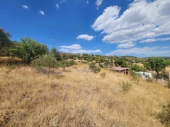 MANISA YUNUSEMRE ÇAMLICA ZEYTINLIK MUSTAKIL PARSEL