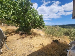 MANISA YUNUSEMRE ÇAMLICA ZEYTINLIK MUSTAKIL PARSEL