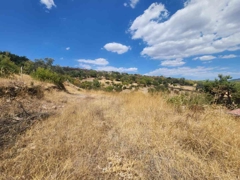 MANISA YUNUSEMRE ÇAMLICA ZEYTINLIK MUSTAKIL PARSEL