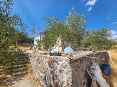 MANISA YUNUSEMRE ÇAMLICA ZEYTINLIK MUSTAKIL PARSEL