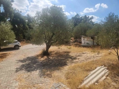 MANISA YUNUSEMRE ÇAMLICA ZEYTINLIK MUSTAKIL PARSEL